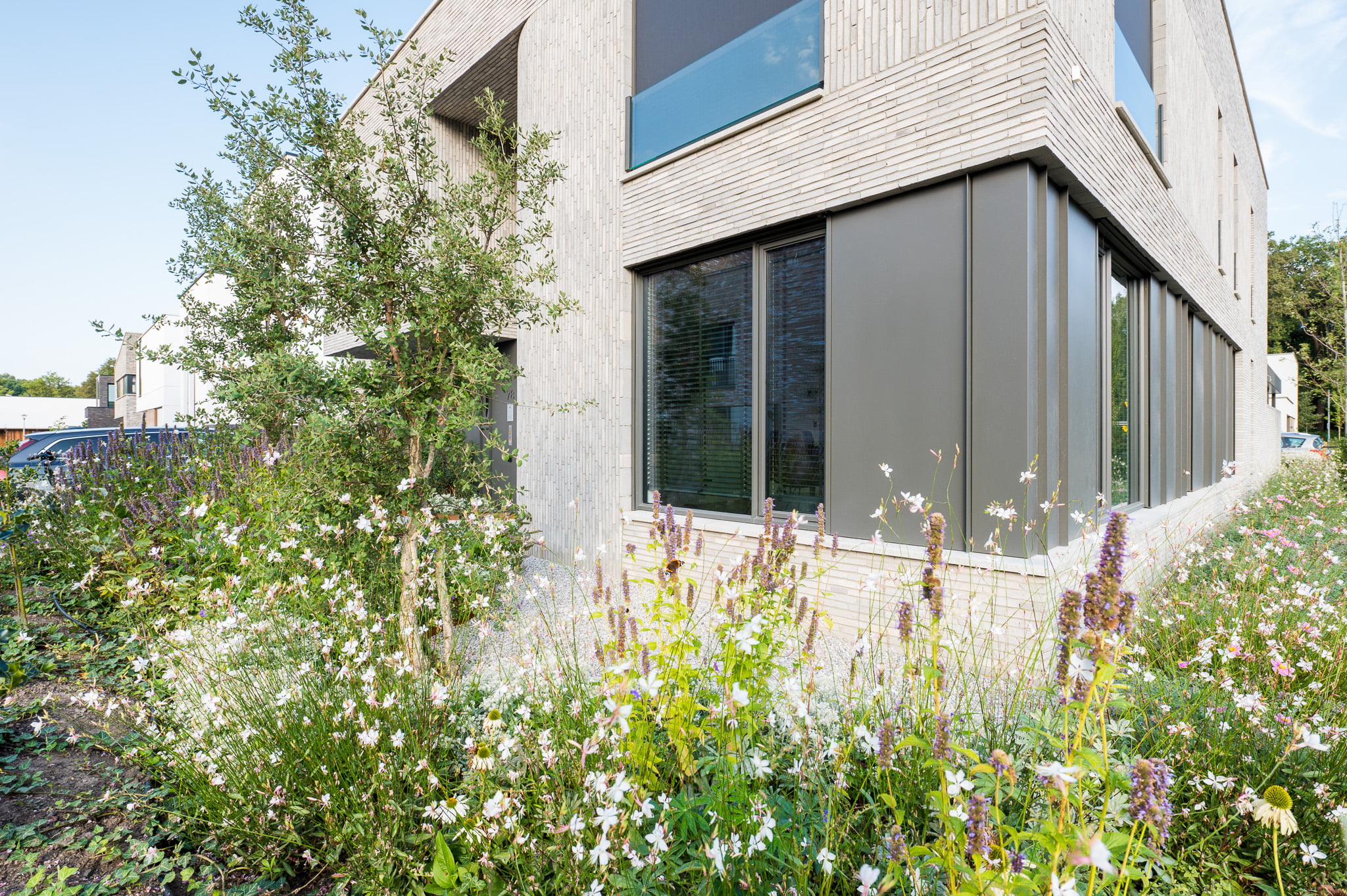 Tuinaanleg Eindhoven voorbeeld